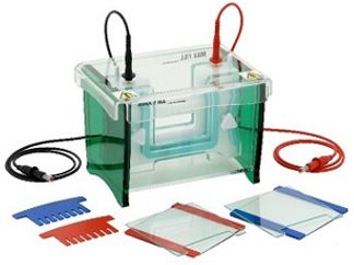 Cámara Mini VerticalDUAL SCIE-PLAS